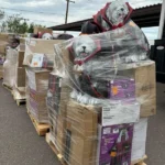 Wholesale Halloween Closeouts pallets - Image 3