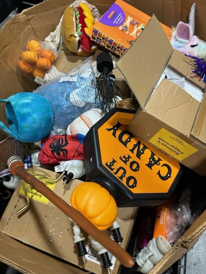 img_6674 Wholesale Halloween Closeouts pallets - Image 1